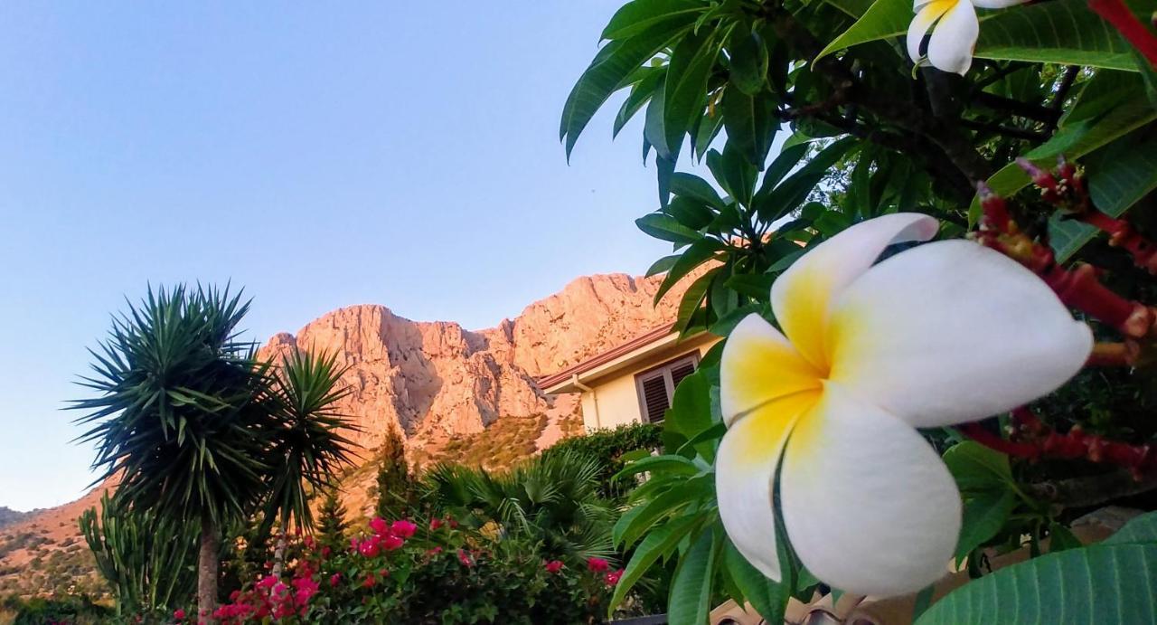 Bed and Breakfast Ciuri Ri Zagara Cinisi Exterior foto